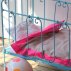Taie + Housse de couette bébé Wasabi, 70 x 120 cm